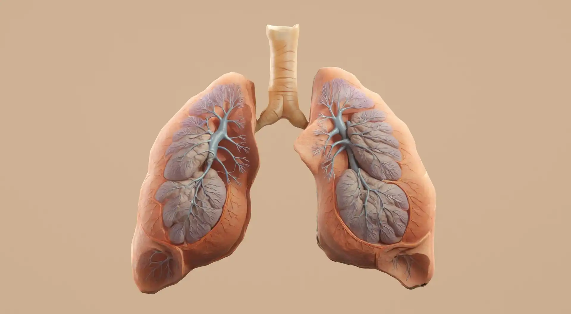 Pulmonology Consultation