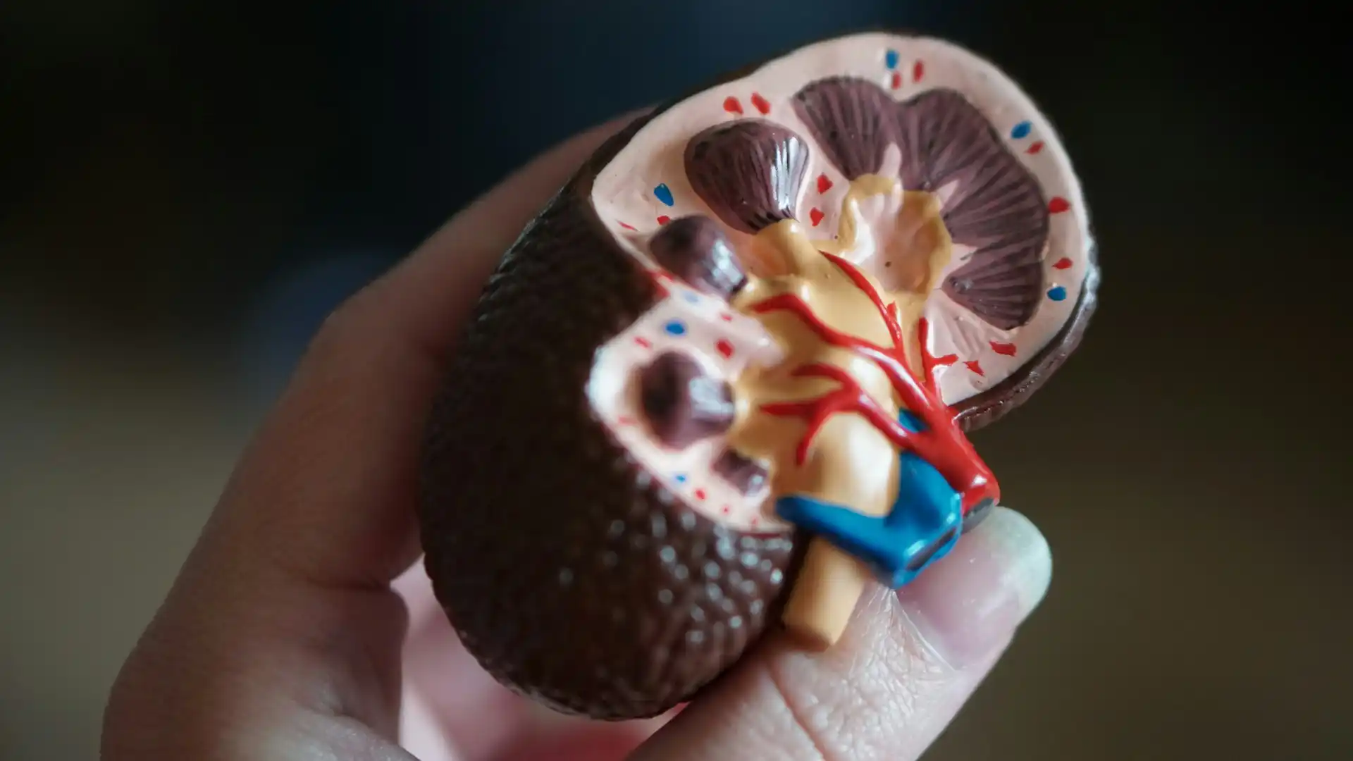Urology Consultation